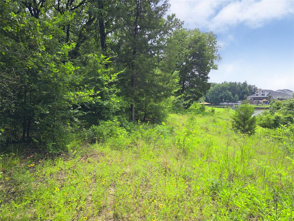 The Shores On Richland Chamb - Land