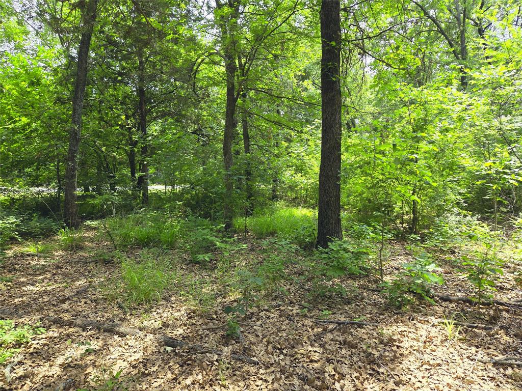 The Shores On Richland Chamb - Land