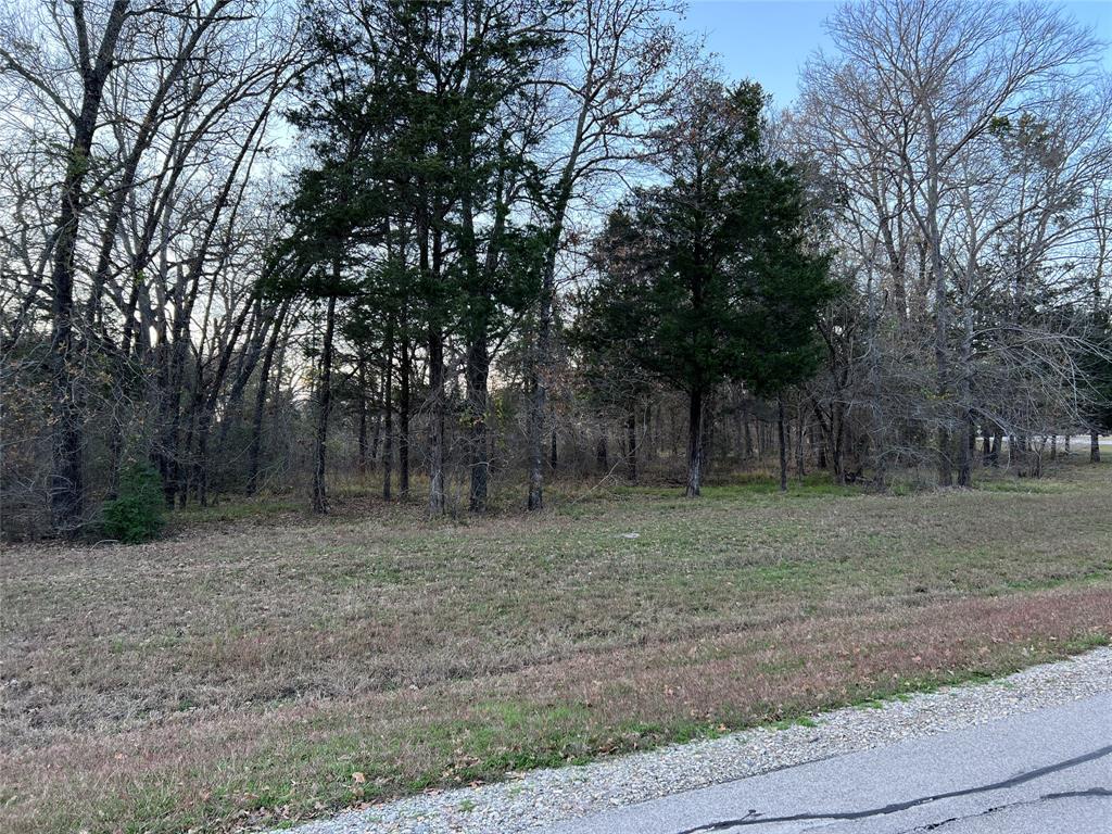 The Shores On Richland Chamb - Land