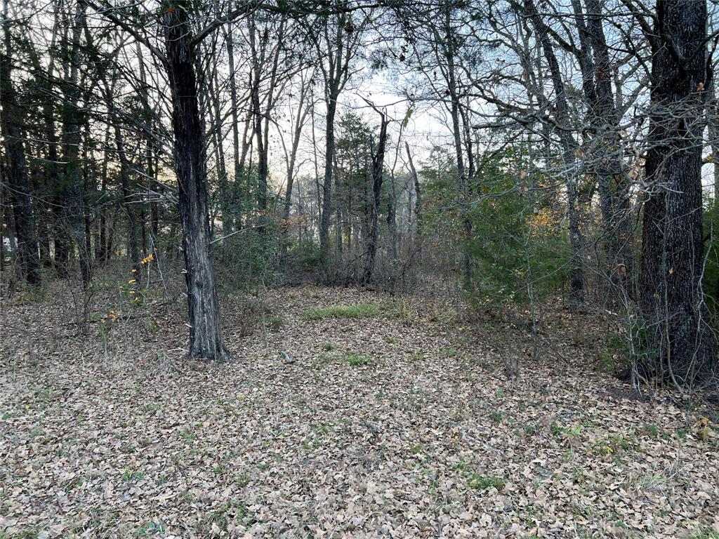 The Shores On Richland Chamb - Land