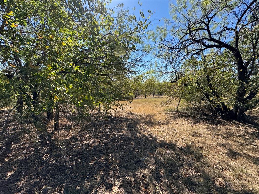 Lake Ridge Sec 11 - Land