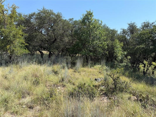 LAKE HILL DR, MAY, TX 76857 - Image 68ca1407bf2d06bde45a3544072c343d/2904476106