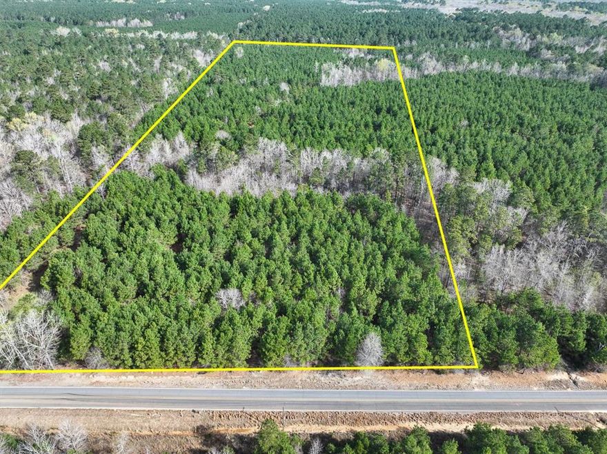 This first time open market offering is situated in the quiet village of Rodessa, Caddo Parish, Louisiana. Historically managed timber tracts currently planted in varying ages of pre-merchantable pine plantations (2014-2016). Attractive size and shaped tracts offer high recreational residential value and privacy. Tracts vary in size from 8 to 81 acres. Easily accessed from low traffic blacktop roads. Good topography and drainage. Located close to the borders of Texas, Louisiana and Arkansas. Electricity available along United Gas Road 1 and Rodessa State Line Road (LA 168 CR 4561).