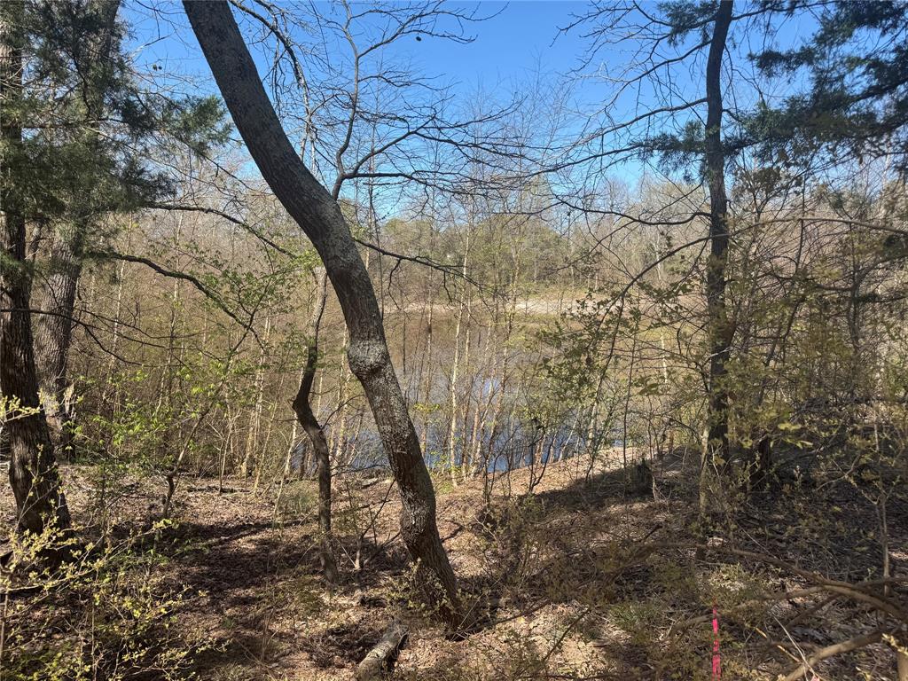 Lake Holbrook Estates - Land