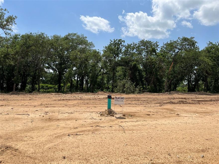 No HOA. Beautiful Treed Lots with Concrete streets and curbs. Underground utilities. City water and sewer. Tolar ISD.  Come see this great new community and choose your lot before they are all gone. If you do not have a builder we can provide one for you.