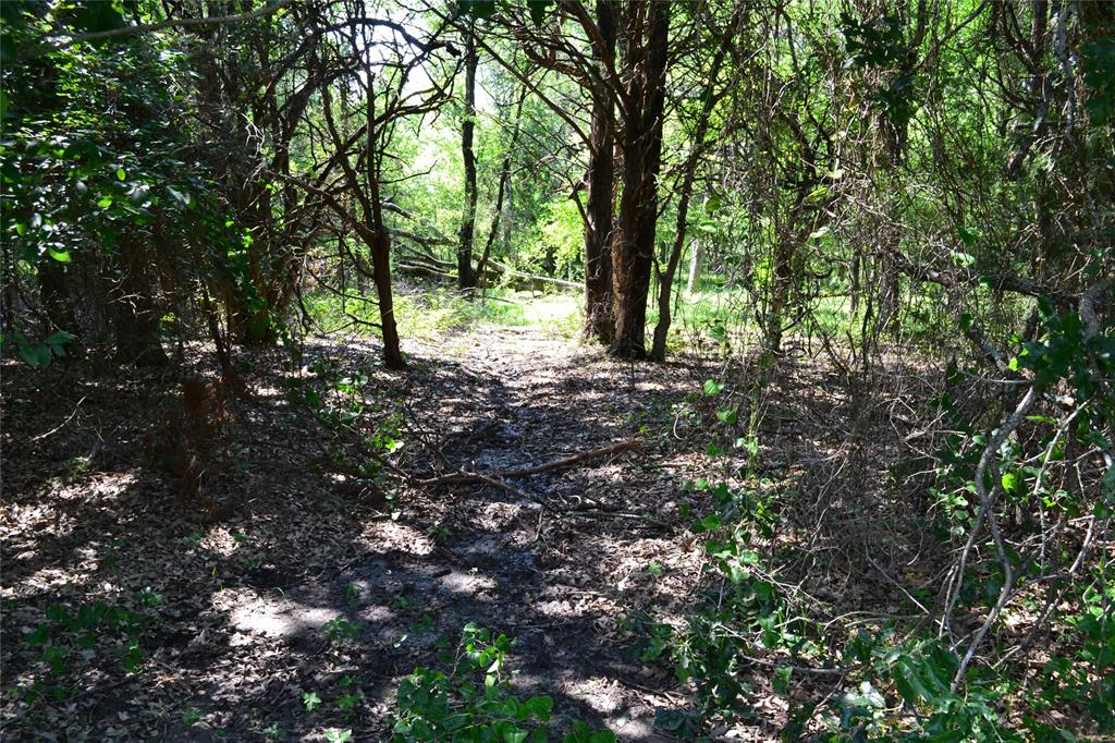 AO413 HATCHET F E - Land