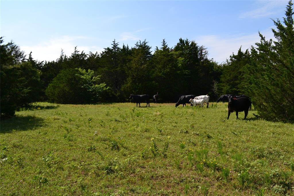 AO413 HATCHET F E - Land