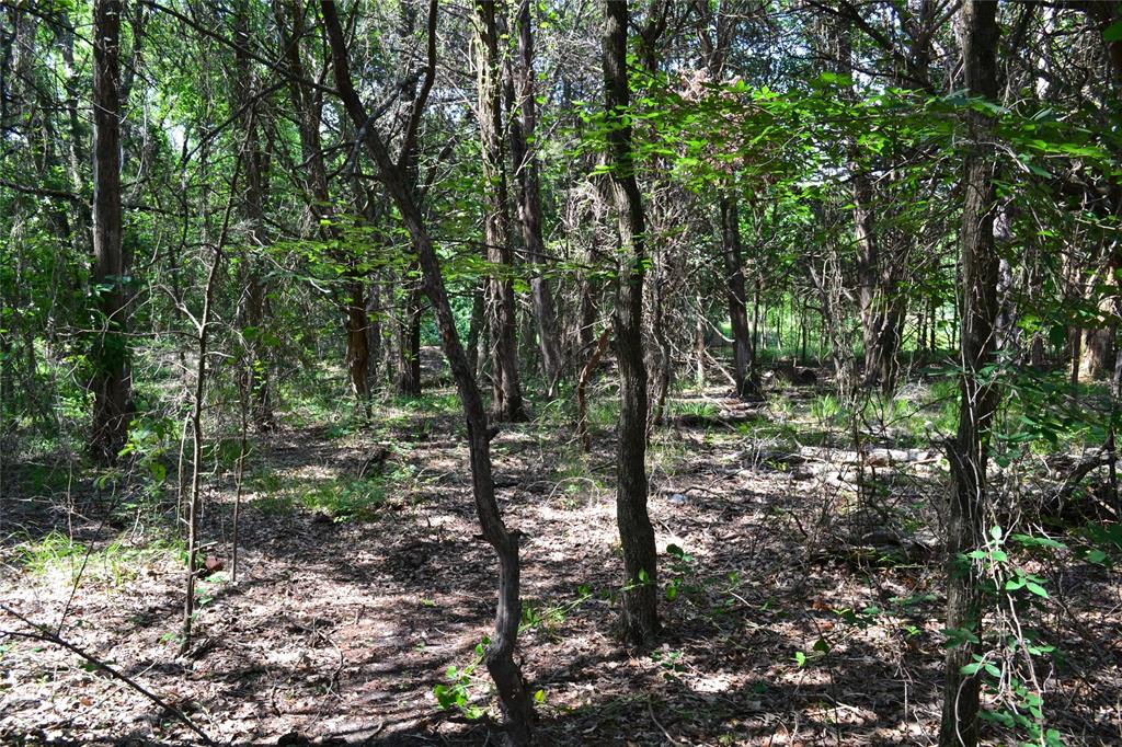 AO413 HATCHET F E - Land