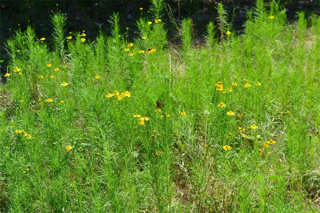 AO413 HATCHET F E - Land