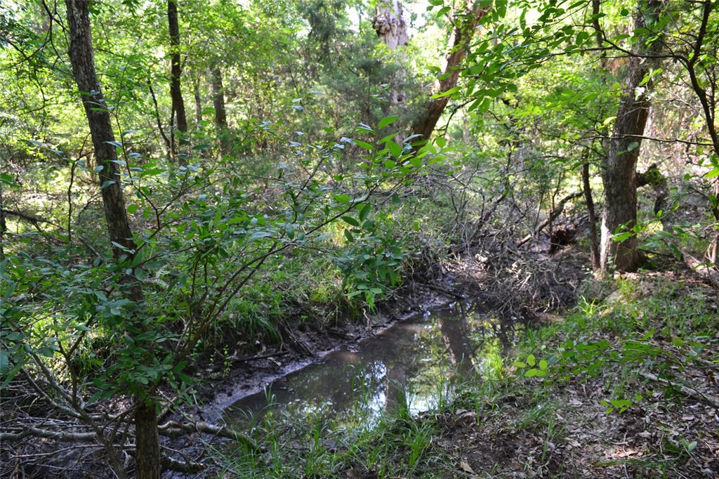 AO413 HATCHET F E - Land