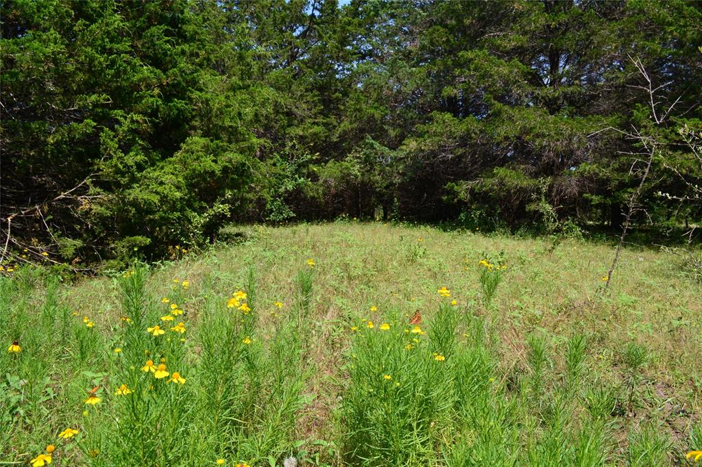 AO413 HATCHET F E - Land