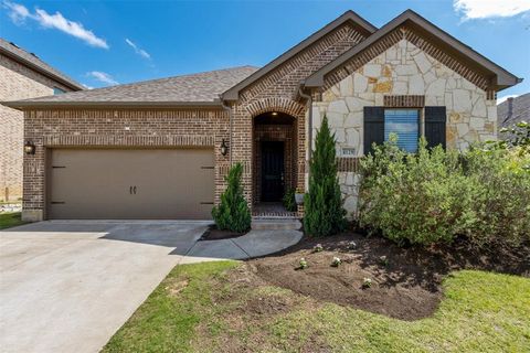 4129 Angelina Drive McKinney TX 75071