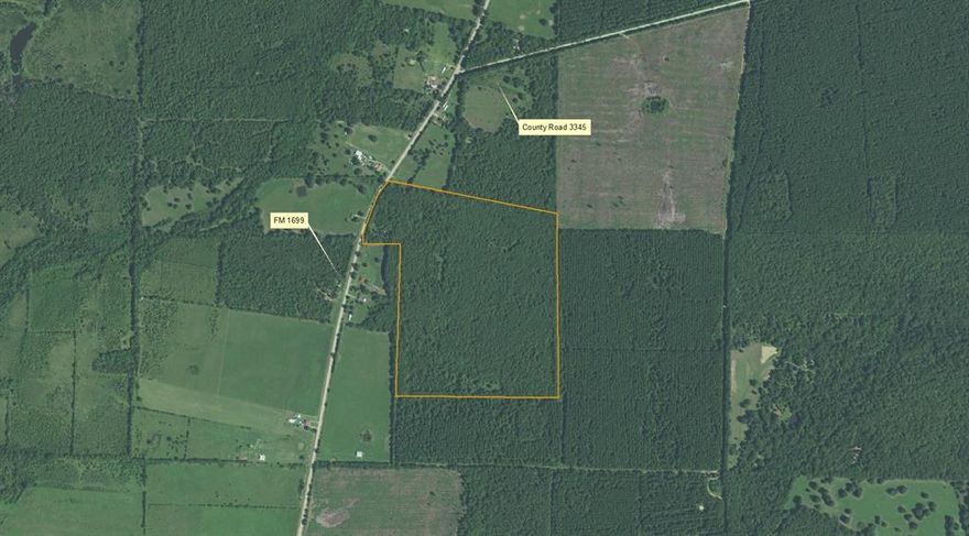 This tract is entirely wooded with great wildlife potential.  FM highway access, electricity available across the highway.