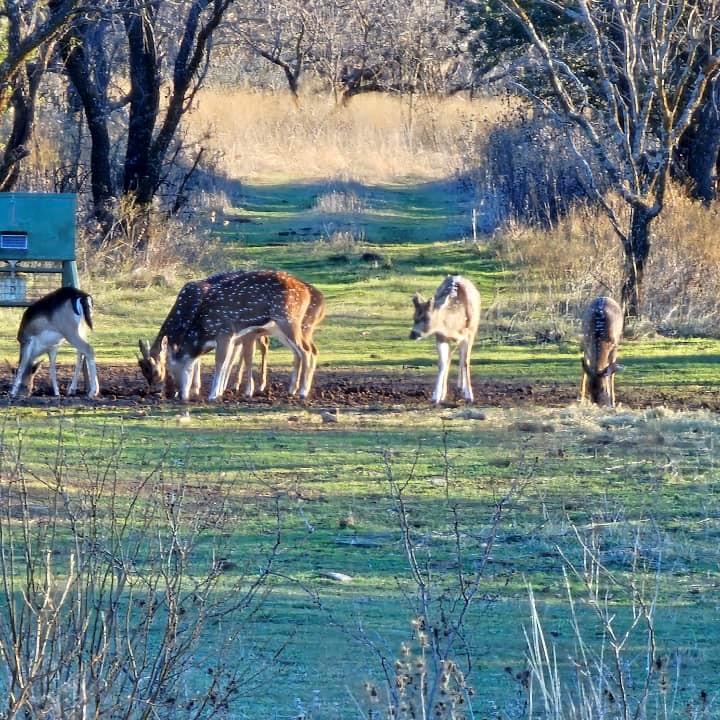 8500 County Road 121