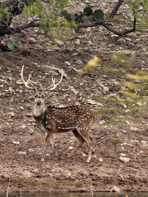 8500 County Road 121