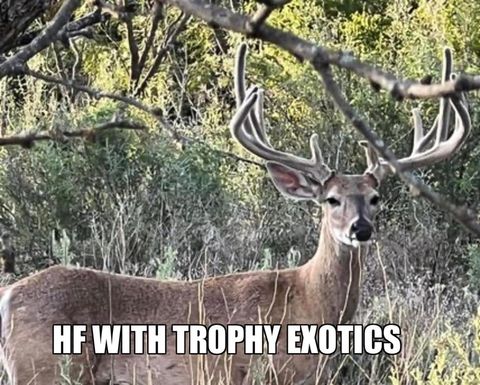 8500 County Road 121 Cross Cut TX 76443