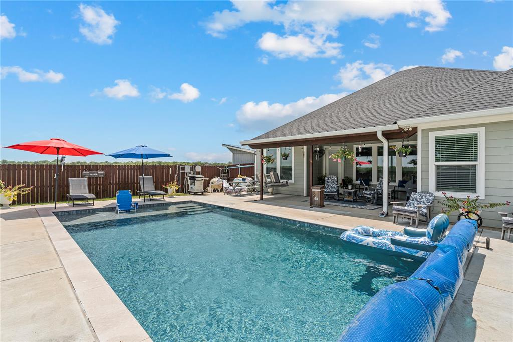 225 Swan Lake