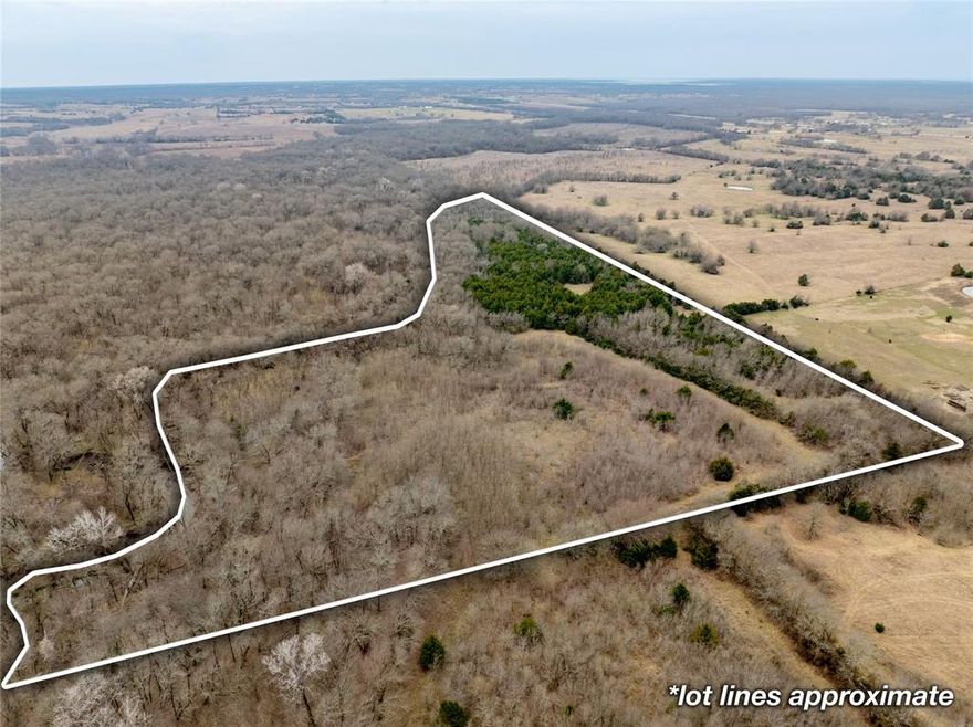Sportsman's Paradise! Heavily wooded property on Indian Creek in Collin County offers both an investment opportunity and some of the largest white-tail deer in the country.  Property is ag exempt for minimum cost upkeep and only minutes from the Metro-plex.  Priced to sell!