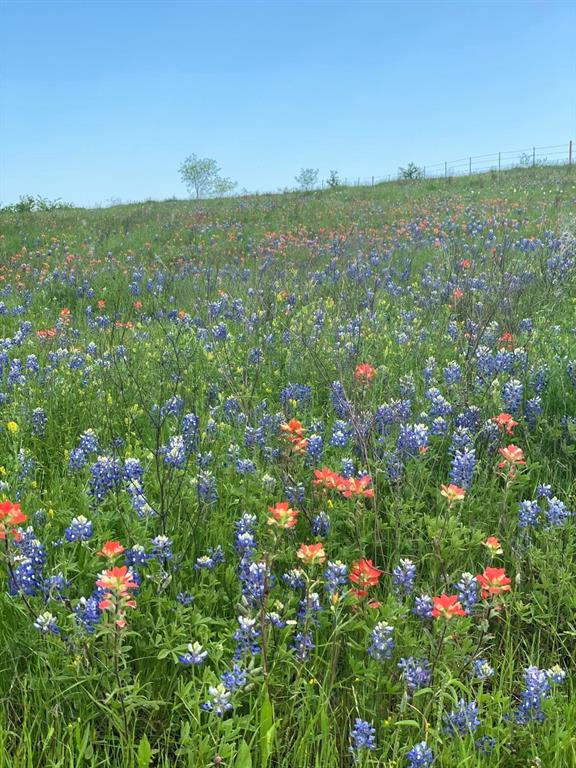 Ranches at Crestview - Land