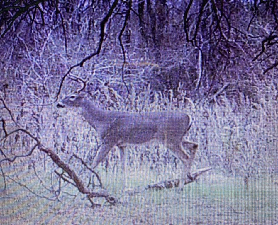 Ranches at Crestview - Land