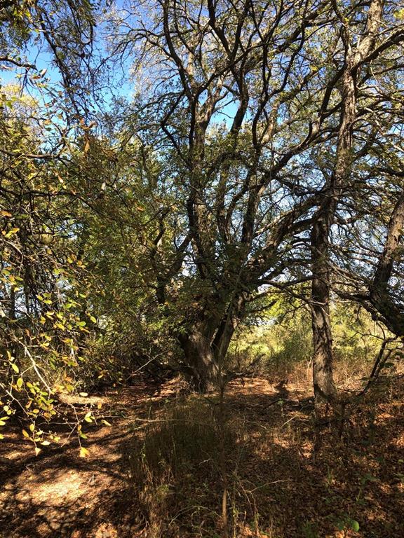 Ranches at Crestview - Land