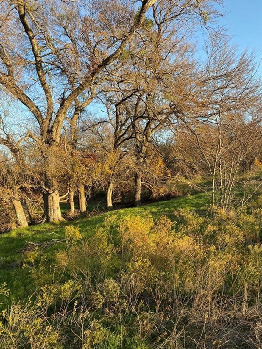 Are you looking for a place to build your dream home in the country? Here it is! This is just over 10 acres of a recently divided ranch. It has ample room to get out and roam. You are welcome to bring your horses or cattle. There is a water line on the property and a water meter is available from the rural water company. CO-OP electricity is located just across the road and is available. There is a seasonal creek that runs through the middle of the property and wildlife is frequently seen. Wildlife includes deer, turkey, dove, hogs and much more. You will find an abundance of trees and native plants. There are a couple of ideal building locations. Currently ag exempt. From this location you will see some of the most beautiful sunset and sunrises anywhere. If you are a star gazer you won't believe the ultra-clear dark nights. Don't wait, come make this your little slice of heaven!