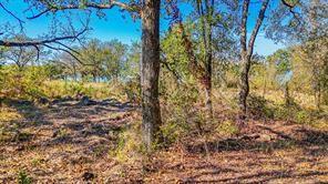 Lot 14 Bordeaux Lane