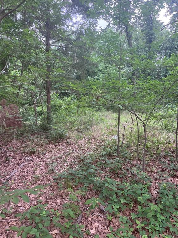 Cherokee Shores Sec C - Land