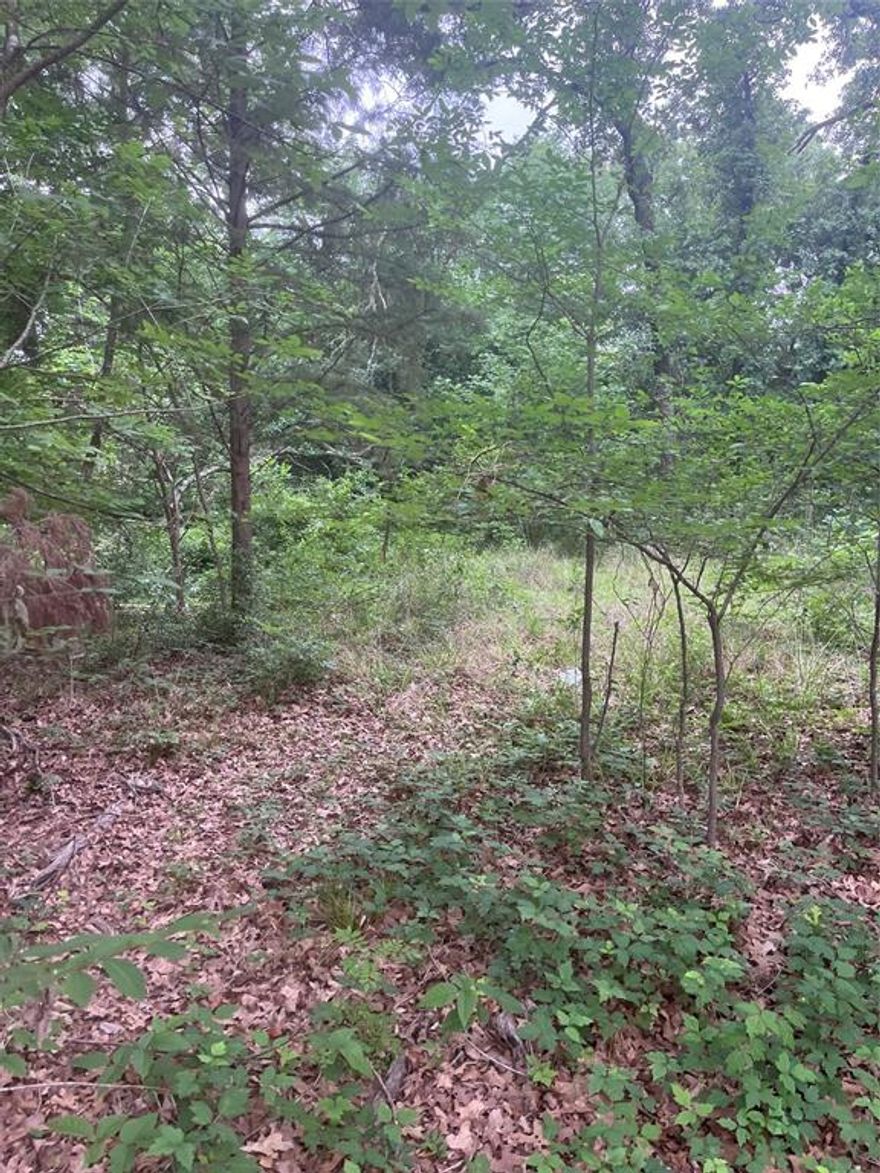 Buildable lot or a manufactured home could be moved in. This lot backs up to a channel, but currently has no water. This lot is in a subdivision that has a boat ramp, and swimming pool for HOA members. No survey available.