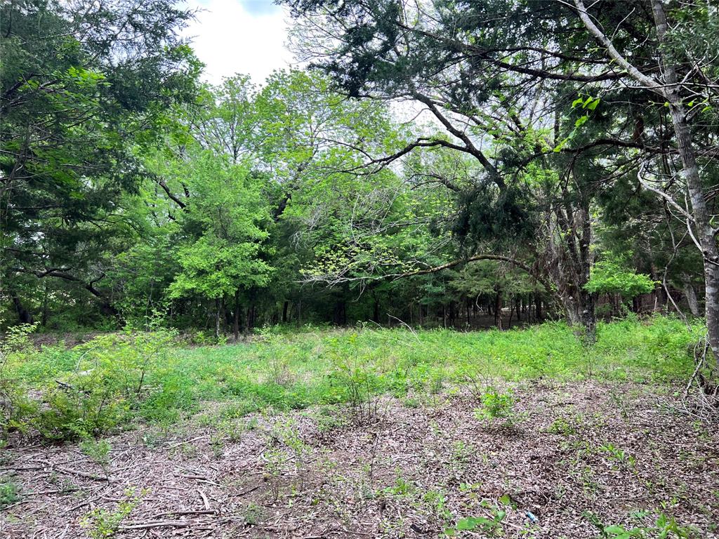 Oak Creek Ranch - Land