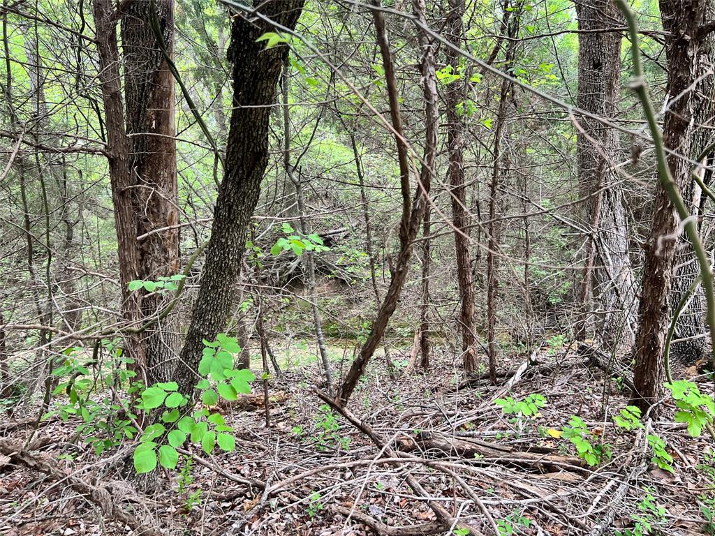Oak Creek Ranch - Land
