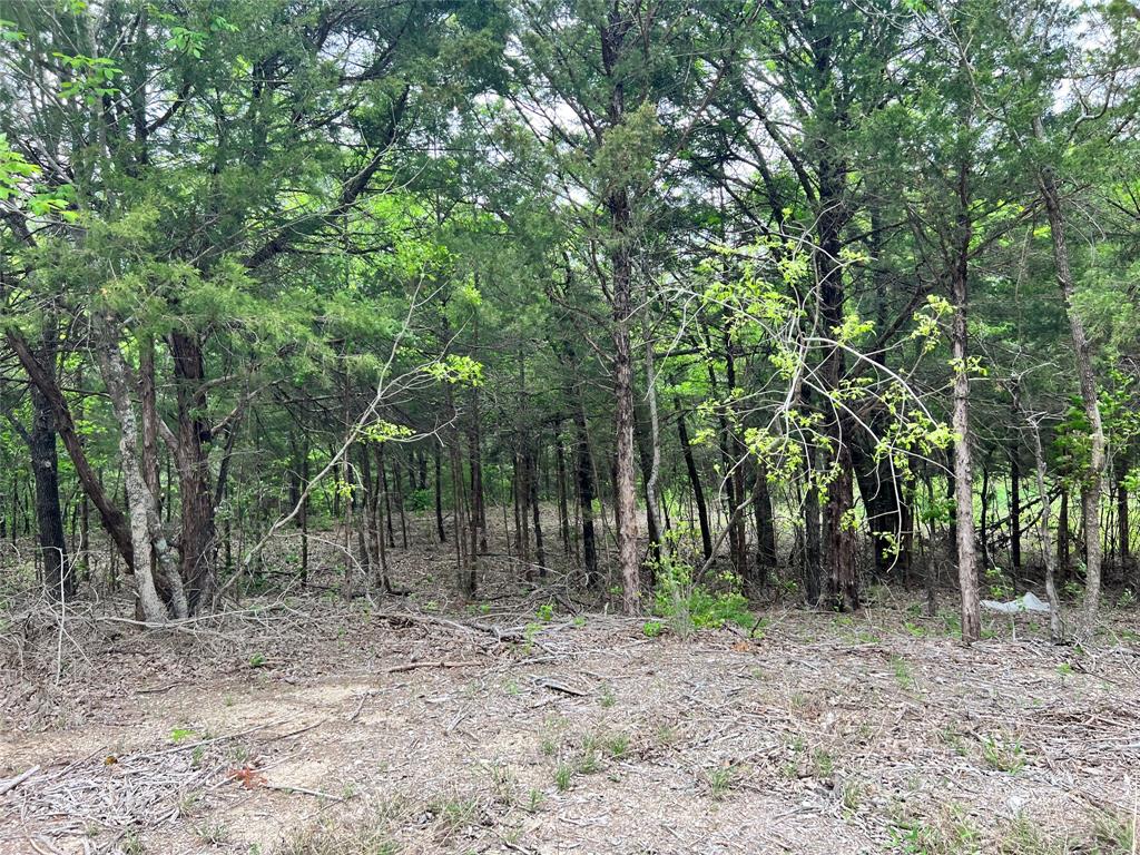 Oak Creek Ranch - Land