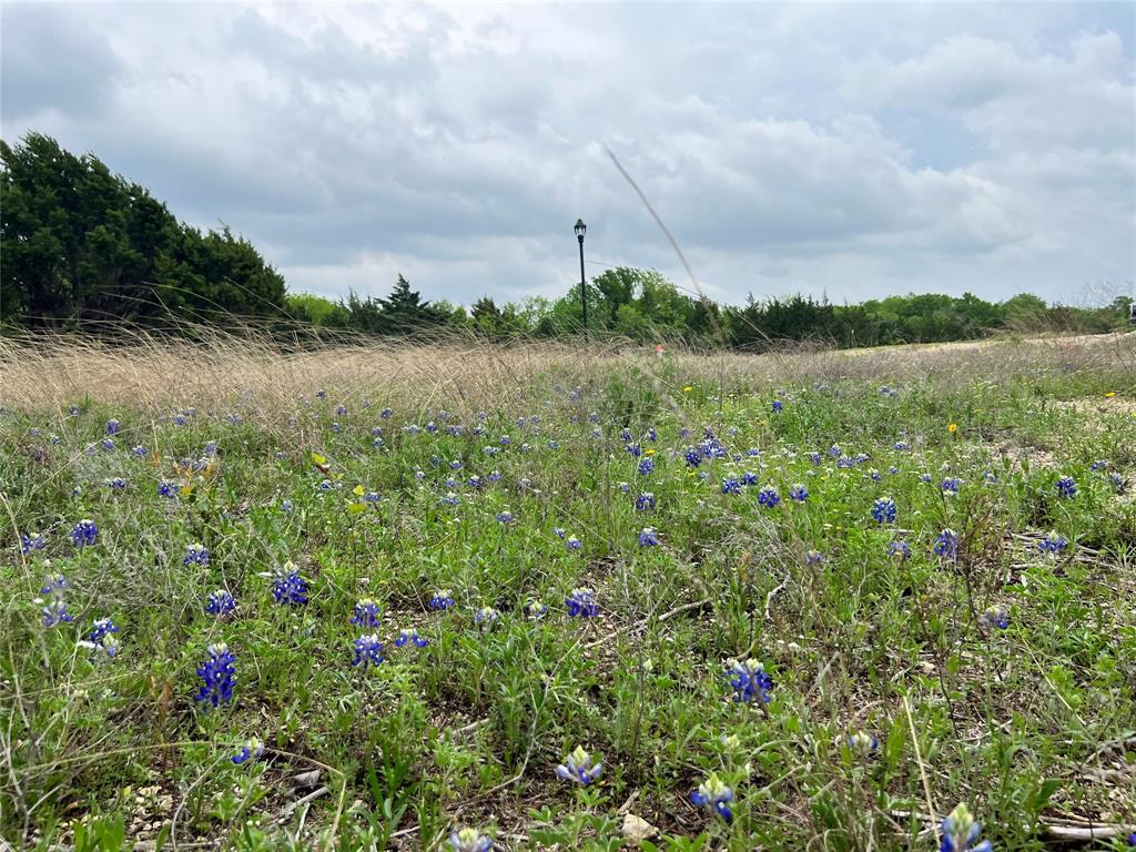 Oak Creek Ranch - Land