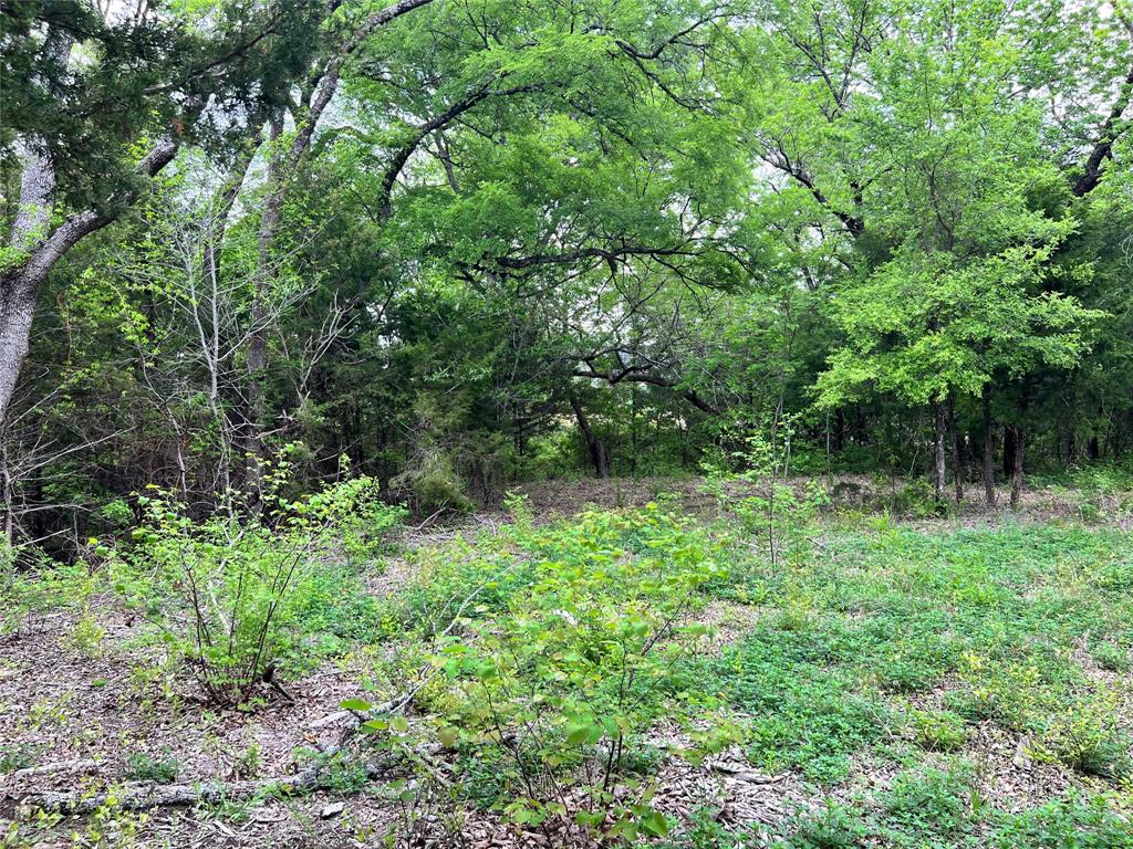 Oak Creek Ranch - Land