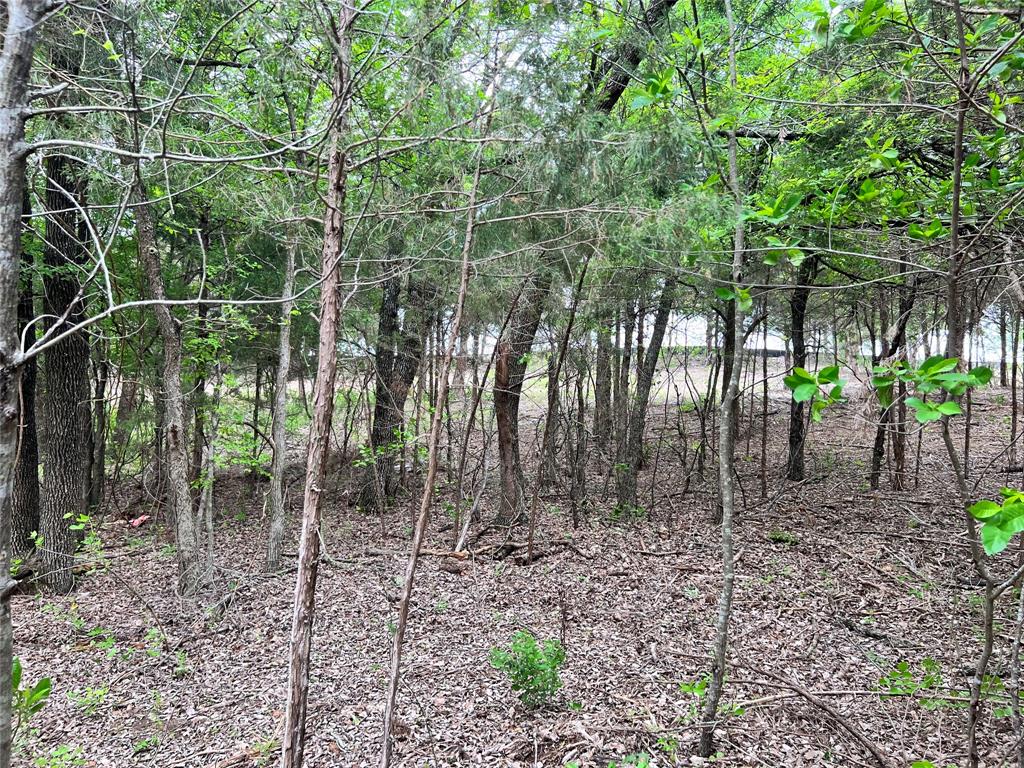 Oak Creek Ranch - Land