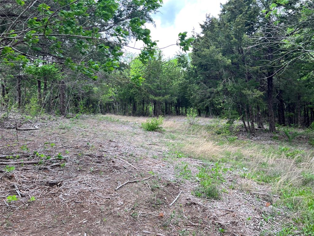 Oak Creek Ranch - Land