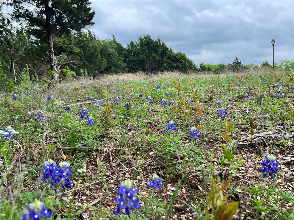 Oak Creek Ranch - Land