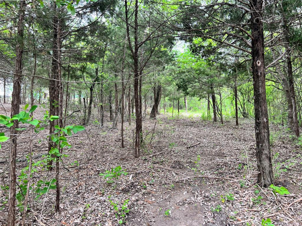 Oak Creek Ranch - Land