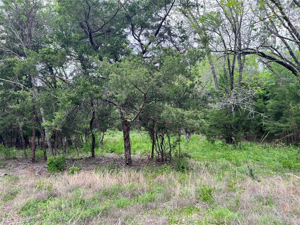 Oak Creek Ranch - Land