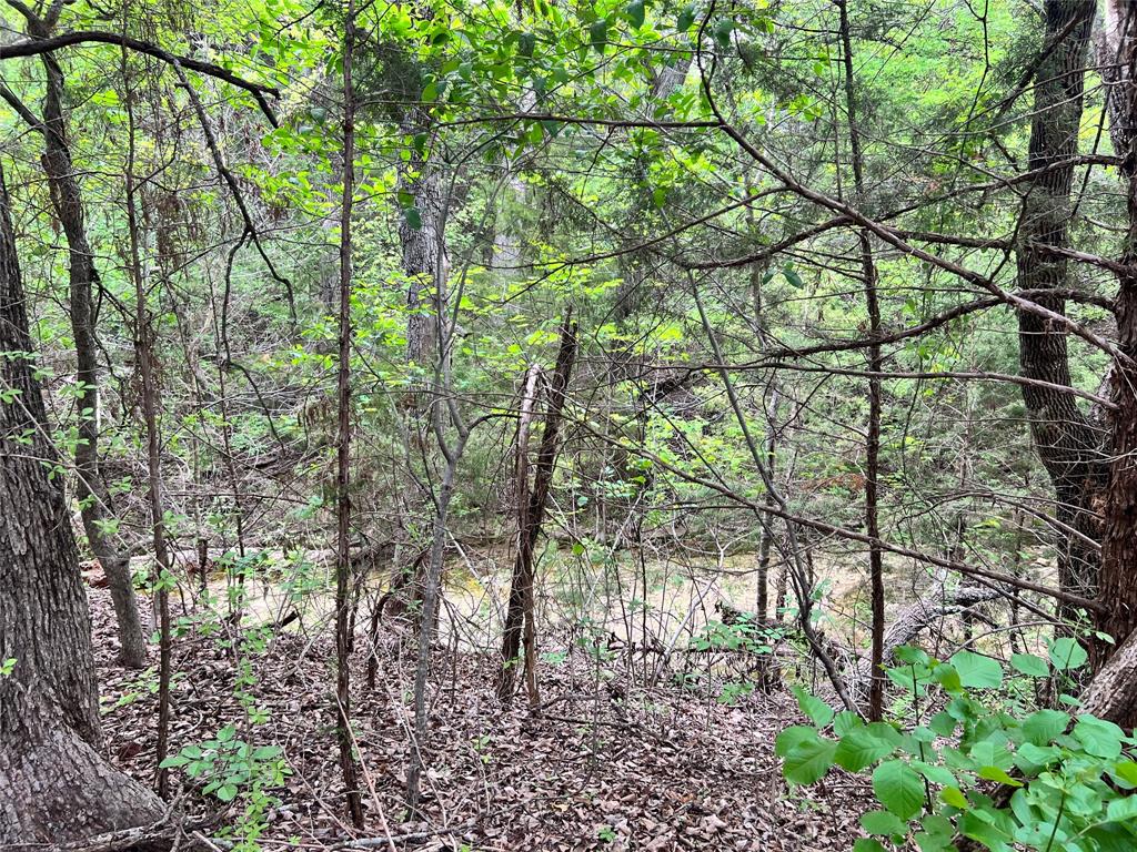 Oak Creek Ranch - Land