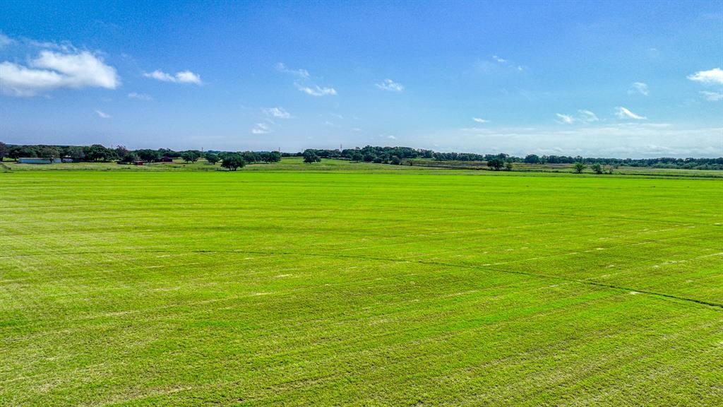 Levi T Bostick Surv Abs #8 - Farm