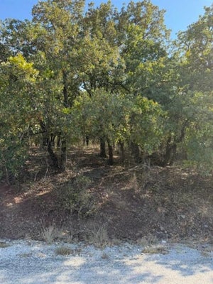 188 CHEROKEE TRL, NOCONA, TX 76255 - Image 6978eebf1fec7e470cdaf8b30aba95e8/1240453102