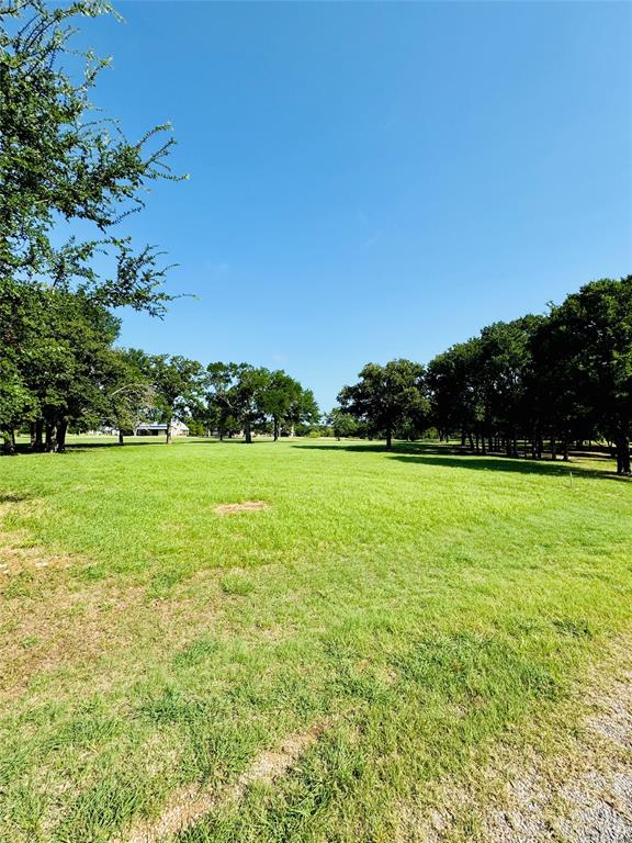 White Bluff #14 - Land