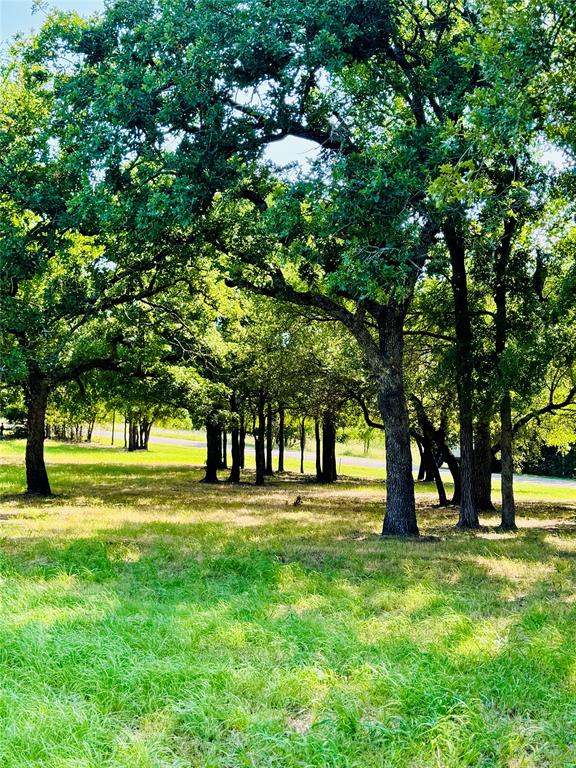 White Bluff #14 - Land