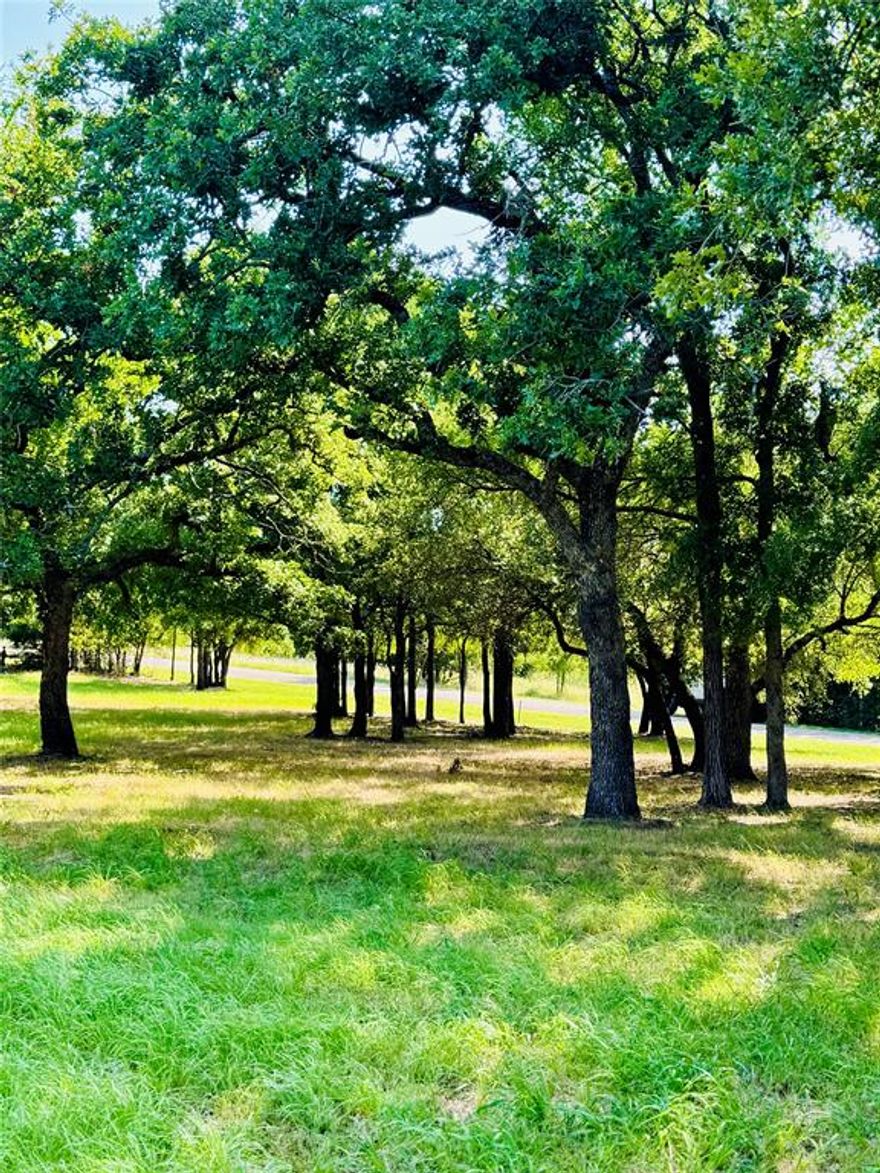 The beautiful double lots are located in White Bluff Resort. 14004 & 14005 Sandy Oaks Drive. The land has been prepped for building your dream home. Located on the #4 fairway of the Old Course. It's a little over a half-acre total with selected trees remaining to provide beauty and shade. All amenities transfer with the sale of the property. 72 rounds of golf a year, excluding cart come with the property.  Two 18-hole Texas Premier golf courses, four swimming pools, tennis & pickleball courts, playground, marina, two boat ramps, restaurant, spa, fitness center, volunteer fire department, conference center & hotel. Nestled in a secured gated community that is surrounded by breathtaking Lake Whitney.