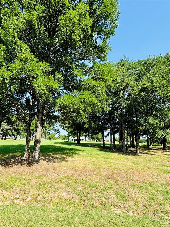 White Bluff #14 - Land