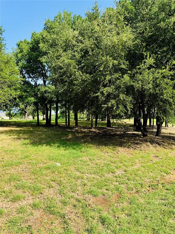 White Bluff #14 - Land