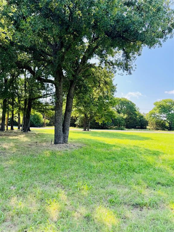 White Bluff #14 - Land