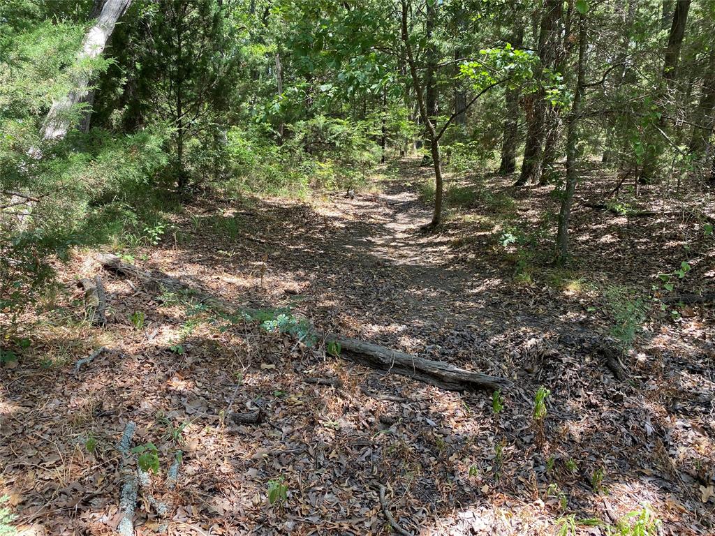 760 COUNTY ROAD 2423