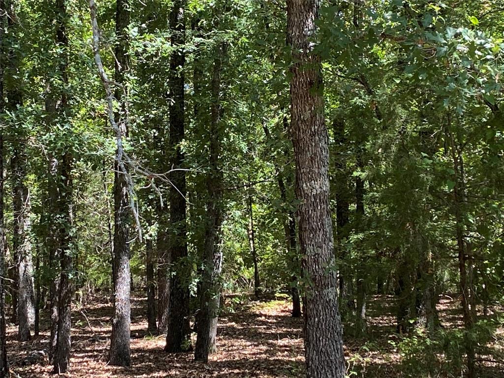 760 COUNTY ROAD 2423